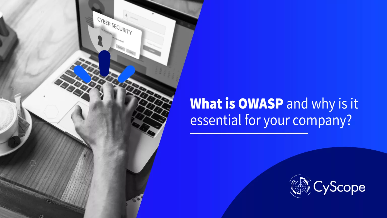 What is OWASP